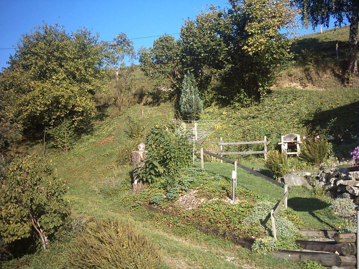 Chalet-Gite Berbuche Sainte-Croix-aux-Mines Eksteriør bilde